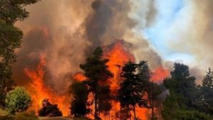 Incendio en Jerusalem