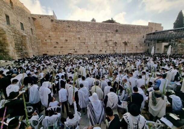 Hoshana Rabba