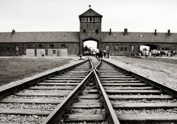 Catedra Holocausto