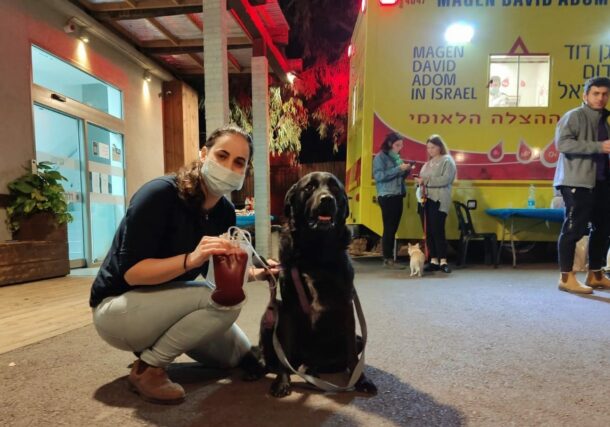 Israelíes y sus perros donan sangre
