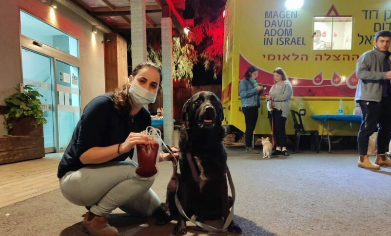 Israelíes y sus perros donan sangre