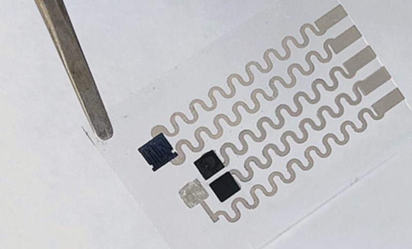 Un apósito para heridas multifuncional, antibacteriano y autocurativo. Foto cortesía de la Oficina del Portavoz del Technion