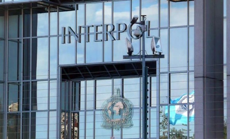 Gabriela Cerruti justificó el accionar del embajador Capitanich ignorando el "Protocolo Diplomático y la función de la OIPC Interpol"