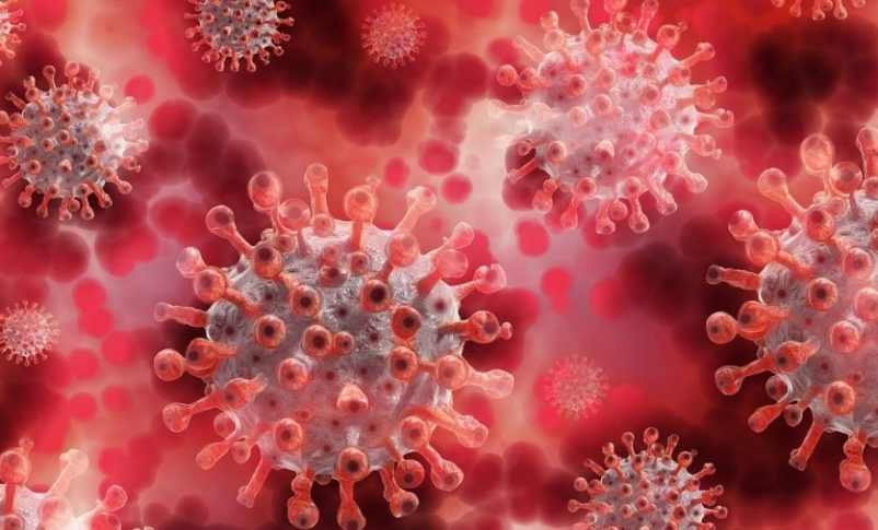 Estudio israelí encuentra que los anticuerpos funcionan mejor después de la infección por COVID, no de la vacuna
