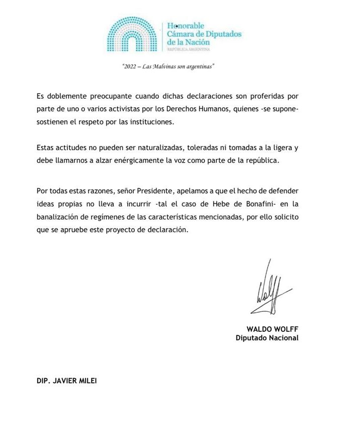 Diputados Waldo Wolff y Javier Milei repudiaron a Hebe de Bonafini por llamar “nazi” a Mauricio Macri