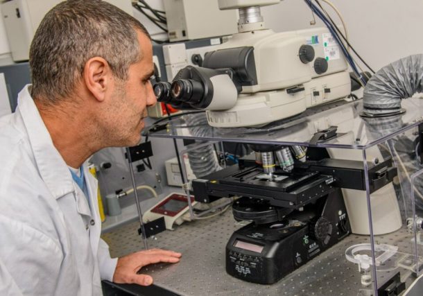 El profesor Tal Dvir de la Universidad de Tel Aviv es el responsable de seguridad de la compañía Matricelf que desarrolló un implante de tejido de médula espinal impreso en 3D para personas paralizadas. Foto de Israel Hadari