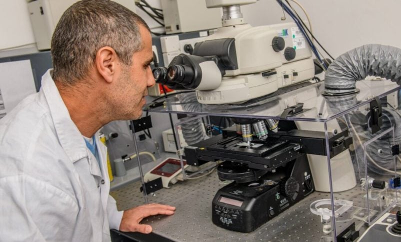 El profesor Tal Dvir de la Universidad de Tel Aviv es el responsable de seguridad de la compañía Matricelf que desarrolló un implante de tejido de médula espinal impreso en 3D para personas paralizadas. Foto de Israel Hadari