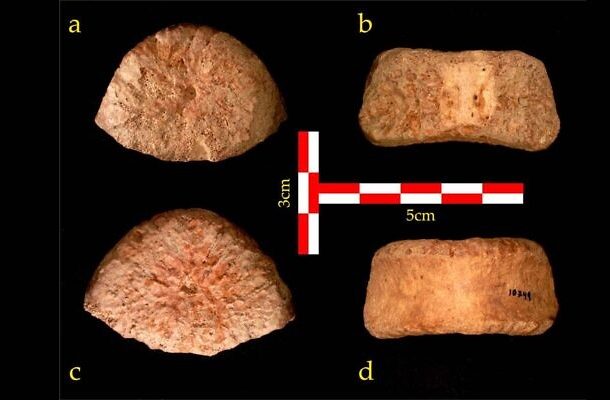 El sitio arqueológico de 'Ubeidiya en el valle del Jordán, donde los investigadores encontraron una vértebra humana de 1,5 millones de años.  (Cortesía/Dr. Alon Barash)