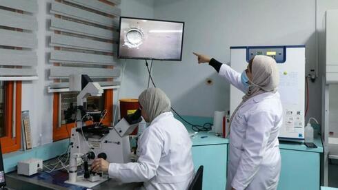 Médicos y técnicos palestinos trabajan en el laboratorio de fecundación in vitro. (AFP)