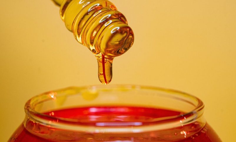 Radio Jai - La startup Bee-io de Israel ya produce miel sin abejas