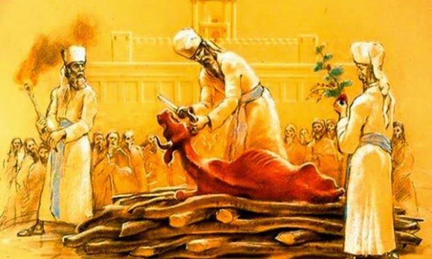 Radio Jai -Parashat Jukat: Vieja Ley Eterna