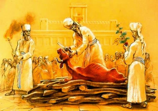 Radio Jai -Parashat Jukat: Vieja Ley Eterna