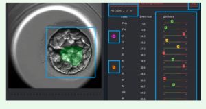 Radio Jai -El tablero de la herramienta de IA de Fairtility para analizar embriones (cortesía de Fairtility)