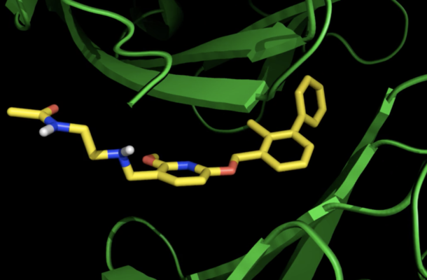Radio Jai -Una imagen generada por computadora de la molécula sintética que combate el cáncer desarrollada en la Universidad de Tel Aviv encontrando proteínas que inhiben el sistema inmunológico.  Después de encontrar las proteínas, las reprograma para permitir que el sistema inmunitario combata el tumor.  (cortesía de la Universidad de Tel Aviv)