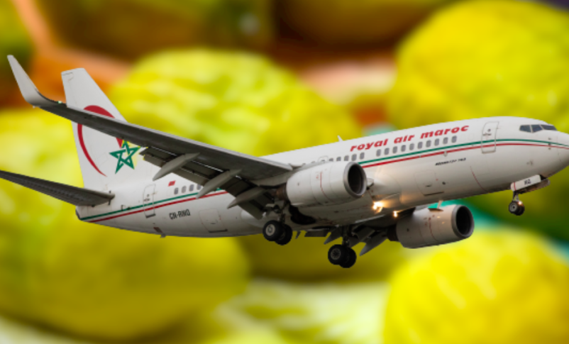 Radio Jai -Por primera vez, los etrogs marroquíes volaron directamente desde Casablanca a Israel en 2022. (Avión de Royal Air Maroc a través de Robert Smith/MI News/NurPhoto a través de Getty Images; collage de JTA)