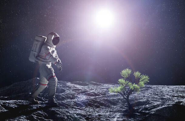 Radio Jai - Representación de un artista de cómo pueden verse las plantas que crecen en el espacio. (NiseriN a través de iStock de Getty Images)