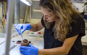 Radio Jai -El Dr. Naama Sukenik, director del Laboratorio de Materiales Orgánicos, levanta la tela de lana de la caja de madera de 2200 años de antigüedad descubierta en Wadi Muraba'at, cerca del Mar Muerto, en el laboratorio de la IAA. (Yaniv Berman, Autoridad de Antigüedades de Israel)