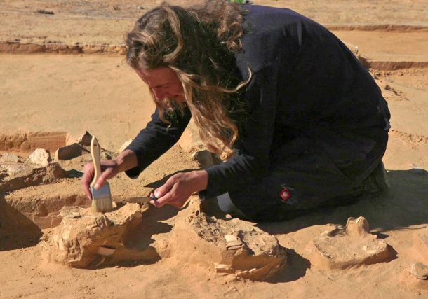 Radio Jai -Ocho huevos de avestruz de más de 4.000 años fueron descubiertos en el Neguev