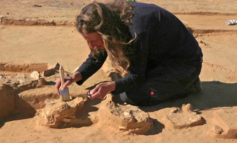 Radio Jai -Ocho huevos de avestruz de más de 4.000 años fueron descubiertos en el Neguev