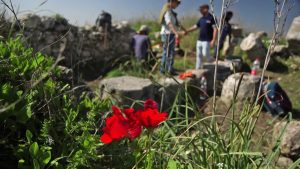 Radio Jai -Un antiguo piso de mosaico adornado con coloridos diseños florales se ha vuelto a descubrir después de 40 años, a lo largo del Camino Nacional de Israel