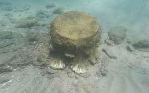 Radio Jai -Un nadador descubre una preciosa carga de mármol de un naufragio del Mediterráneo de 1.800 años de antigüedad