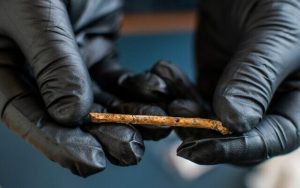 Radio Jai - Los arqueólogos descubren y replican el instrumento musical más antiguo en el Medio Oriente
