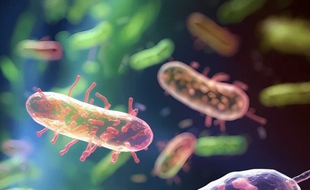 Radio Jai -Israelíes usan bacterias para detectar minas terrestres sin explotar