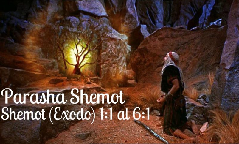 Parashat Shemot: Lo positivo aleja lo negativo