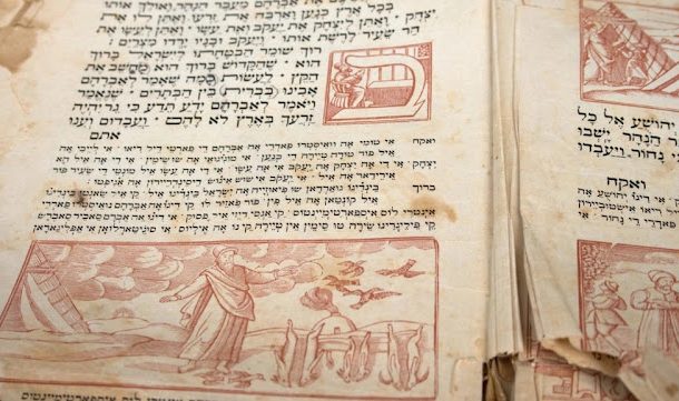 Shabat Vaerá: Nuestras “deudas de gratitud”