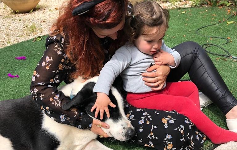 Transformando vidas a través de la Terapia Asistida con perros en Israel