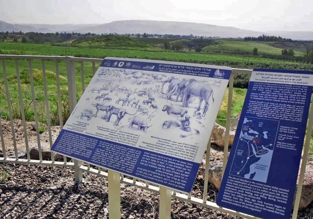 Radio Jai: Israel abre al público el 'Jardín prehistórico del Edén'