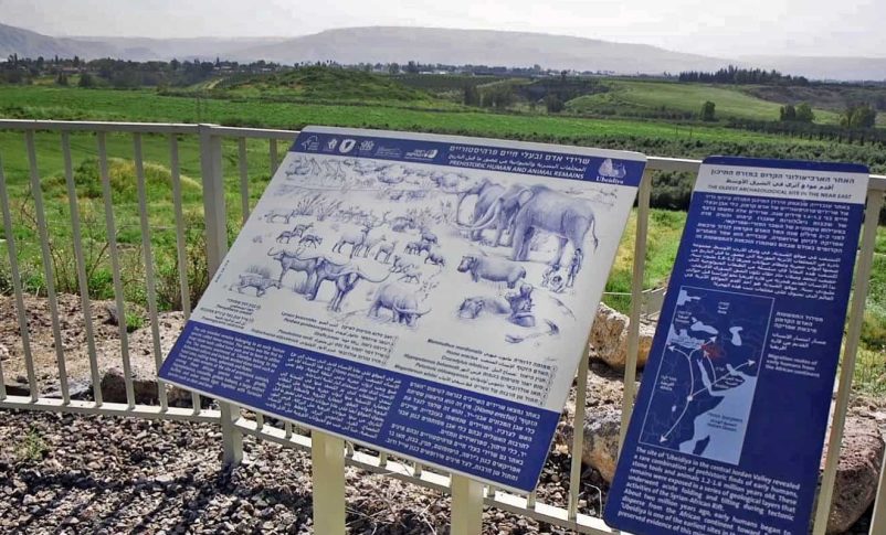Radio Jai: Israel abre al público el 'Jardín prehistórico del Edén'