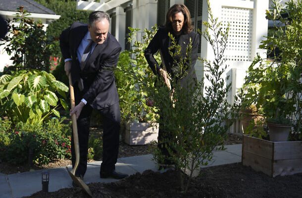Radio Jai:Harris planta un árbol en su casa en memoria de las víctimas del 7 de octubre y promete no olvidarlo nunca