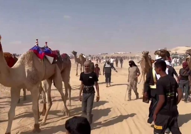 Radio Jai: Por primera vez en el desierto del Néguev: Carrera legal de camellos