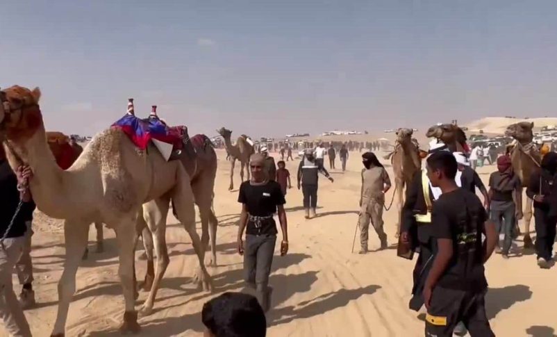 Radio Jai: Por primera vez en el desierto del Néguev: Carrera legal de camellos