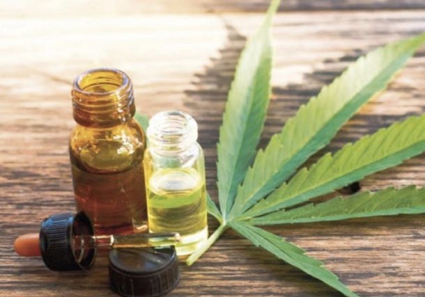 Radio Jai-El cannabis en la medicina: beneficios, riesgos y la importancia de su uso controlado