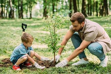 Radio Jai-"Plantar un árbol es sembrar futuro" - Diego Stern. presidente el KKL Argentina