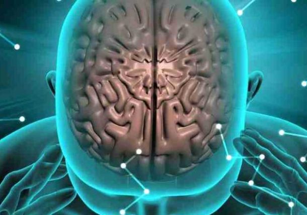 Radio Jai-¿Cómo procesa el cerebro textos largos?