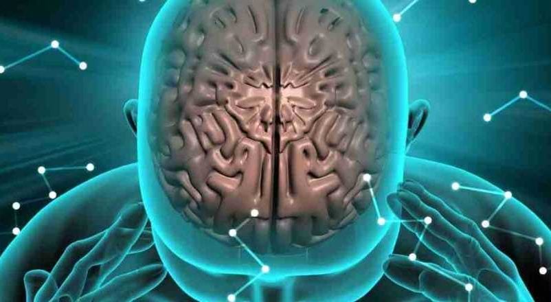 Radio Jai-¿Cómo procesa el cerebro textos largos?