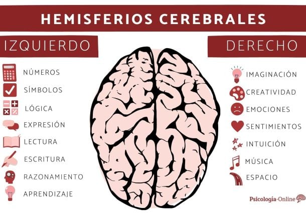 Radio Jai-Hemisferio izquierdo, derecho y plasticidad: las claves del cerebro