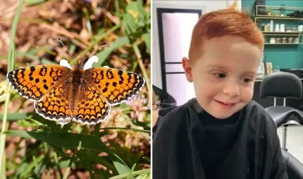 Radio Jai: Una mariposa llevará el nombre de Ariel Bibas