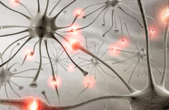 Radio Jai-Plasticidad neuronal: cómo mantener el cerebro activo y adaptable a cualquier edad