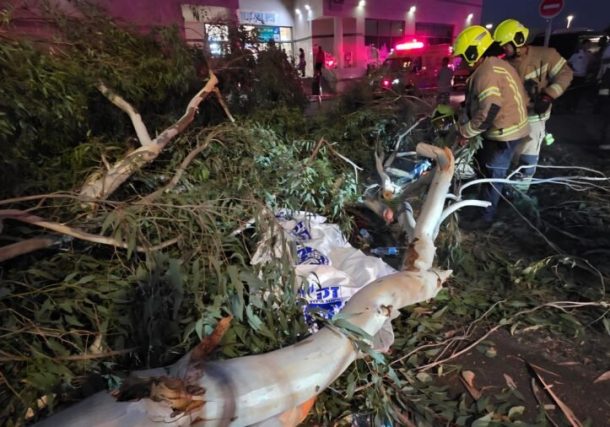 Radio Jai: El desastre en el Hospital Assaf Harofeh: Un hombre de 35 años salió a comprar agua para su esposa embarazada y murió al caerle un árbol.