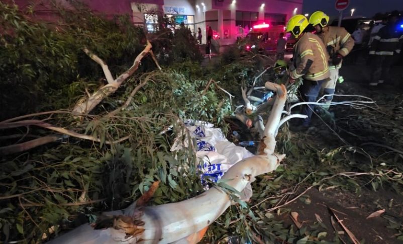 Radio Jai: El desastre en el Hospital Assaf Harofeh: Un hombre de 35 años salió a comprar agua para su esposa embarazada y murió al caerle un árbol.
