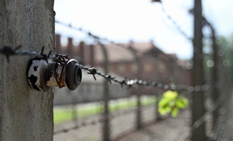 Radio Jai: León XIV: la Iglesia firme contra toda forma de antisemitismo