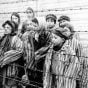 Radio Jai-De Auschwitz a Jerusalén: cuando los nietos rompen el silencio